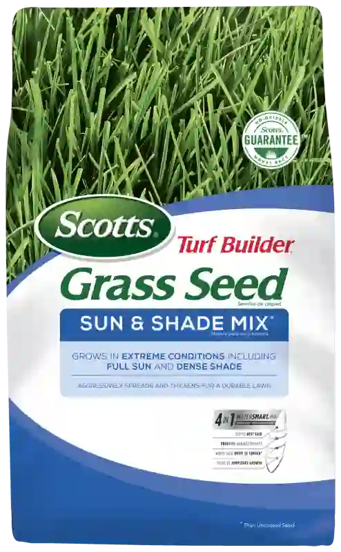 Scotts grass seeds